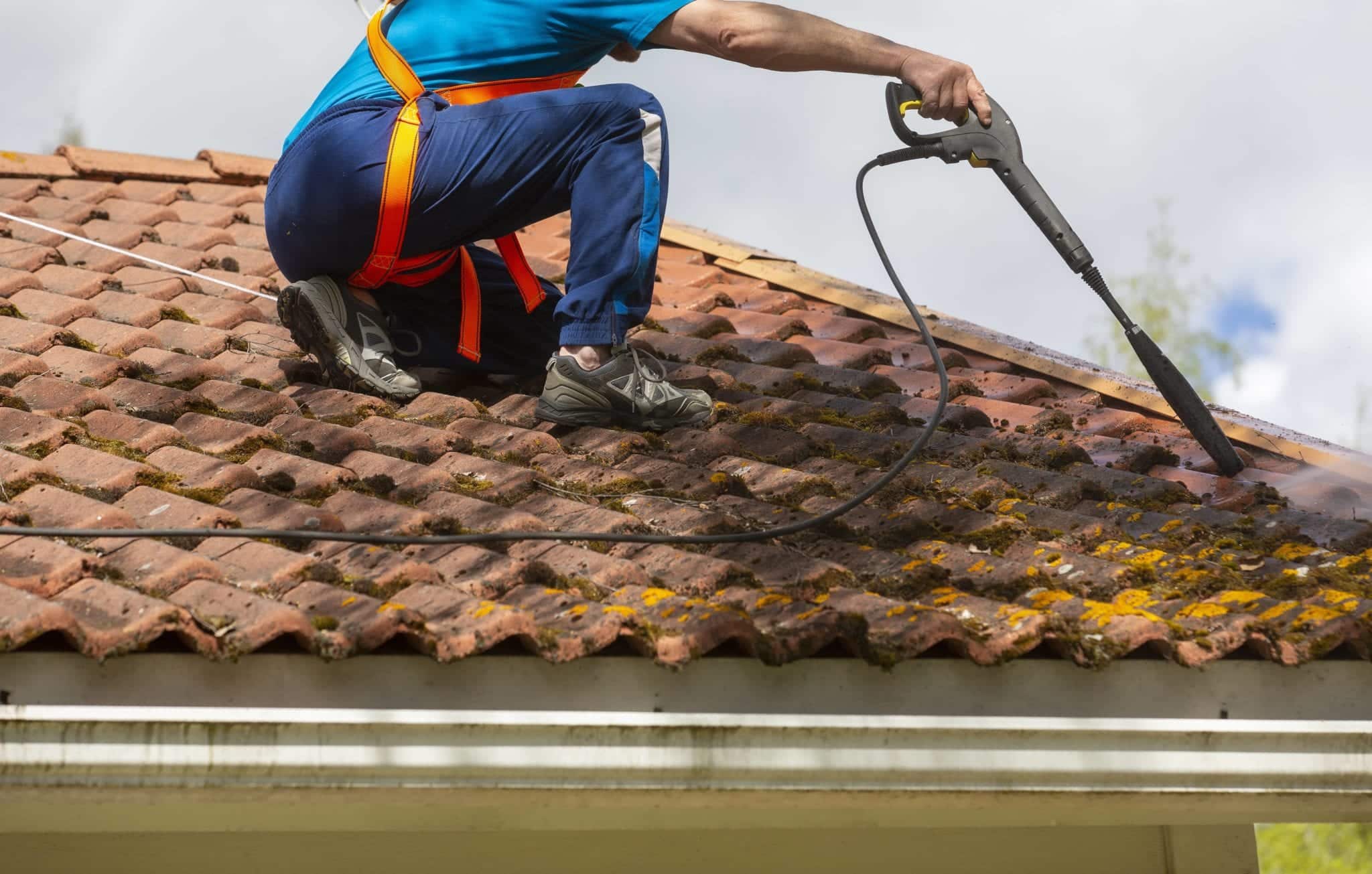How to Kill Moss on a Roof Alpha Building Inspections