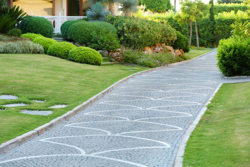 Hedges and plants for soil and erosion support