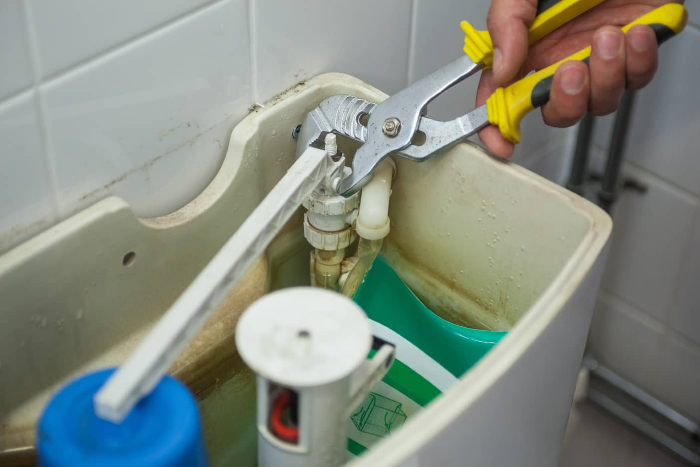 What Causes A Toilet To Overflow Alpha Building Inspections