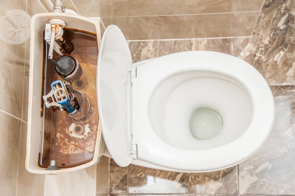 What Causes A Toilet To Overflow - Alpha Building Inspections