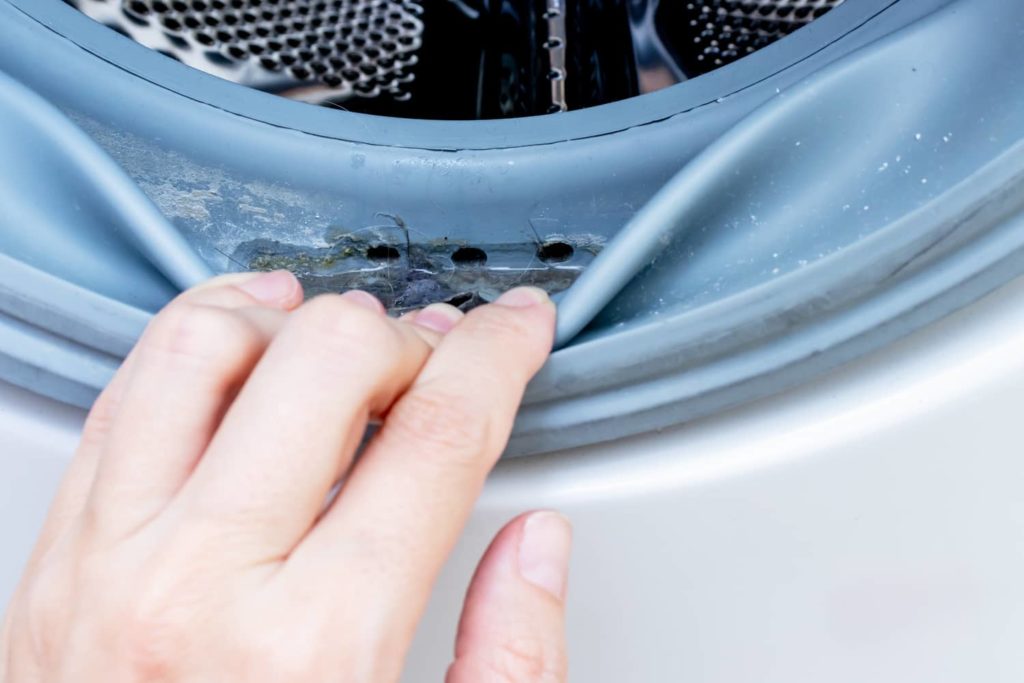 Hair and mold are building up in the front door seal of a washing machine.