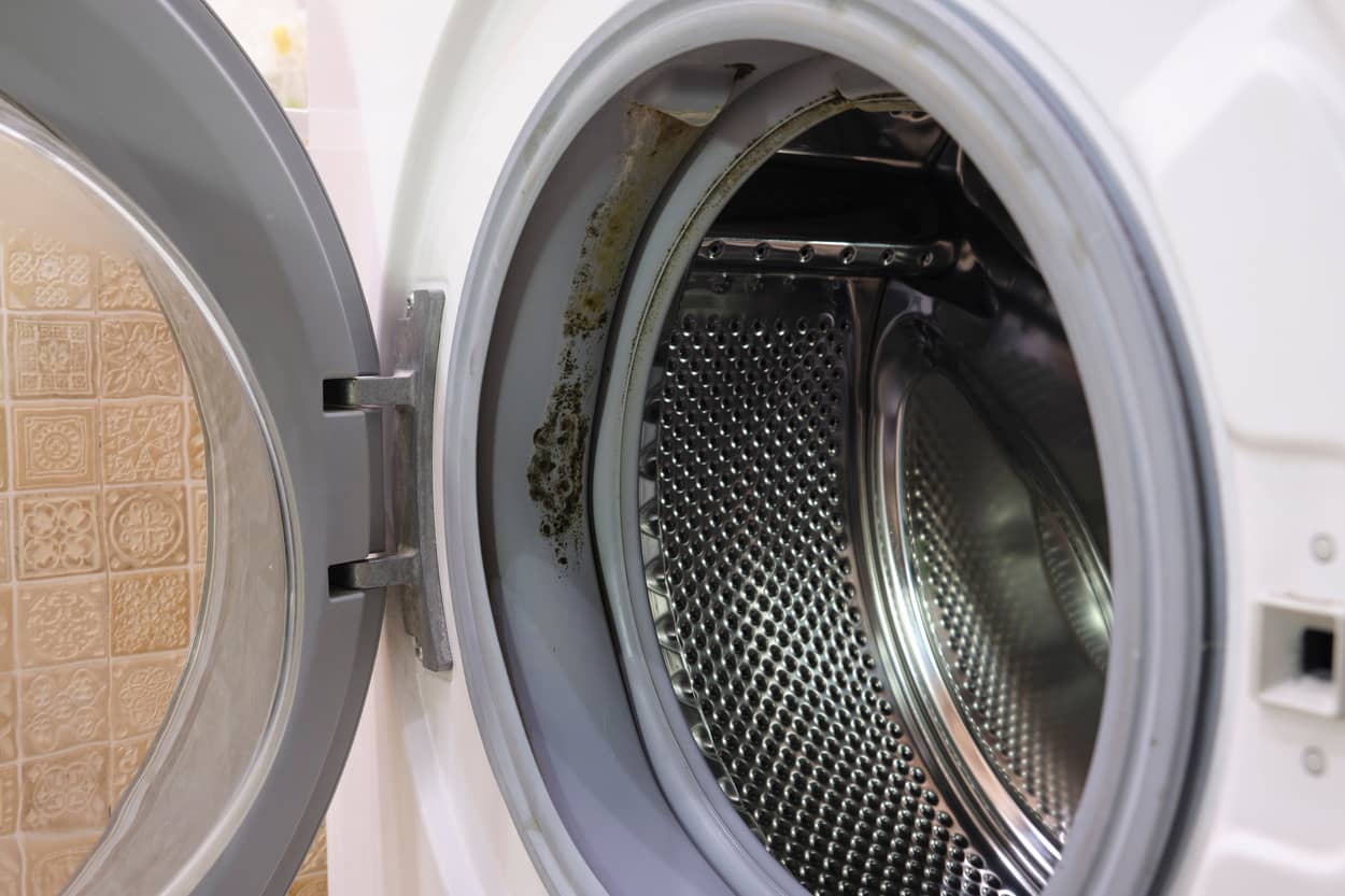 Mold growth on the inner seal of a washing machine.