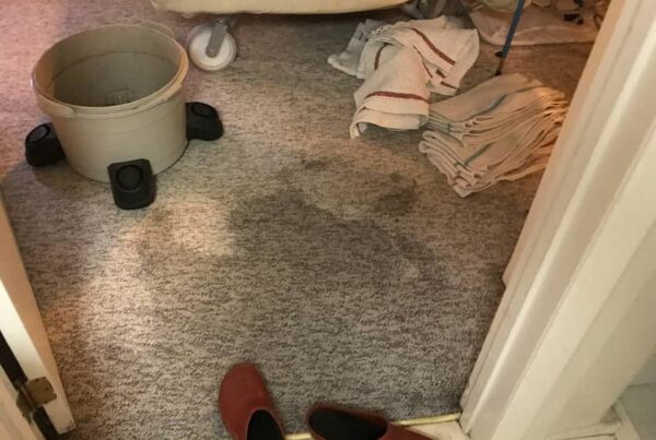 Wet carpet in house