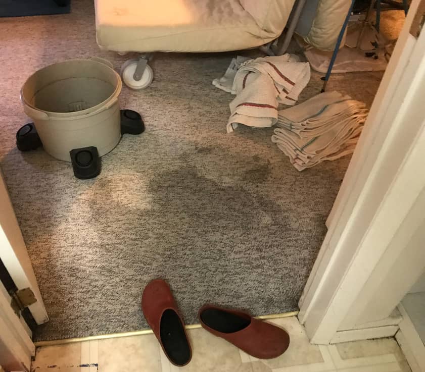 Wet carpet in house