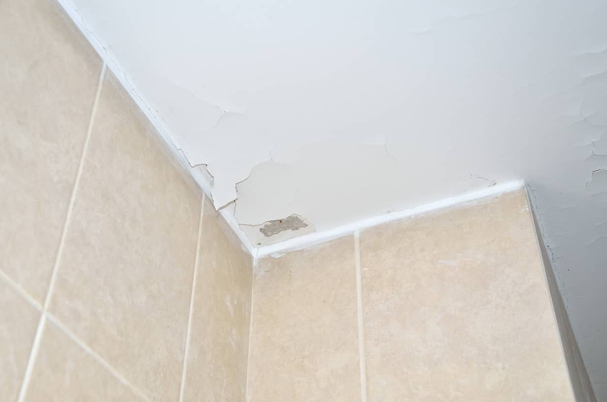 How To Paint A Bathroom Ceiling Alpha Building Inspections