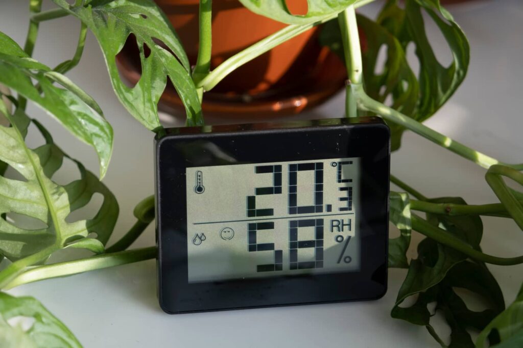 Use a hygrometer to measure the humidity levels in your basement. 