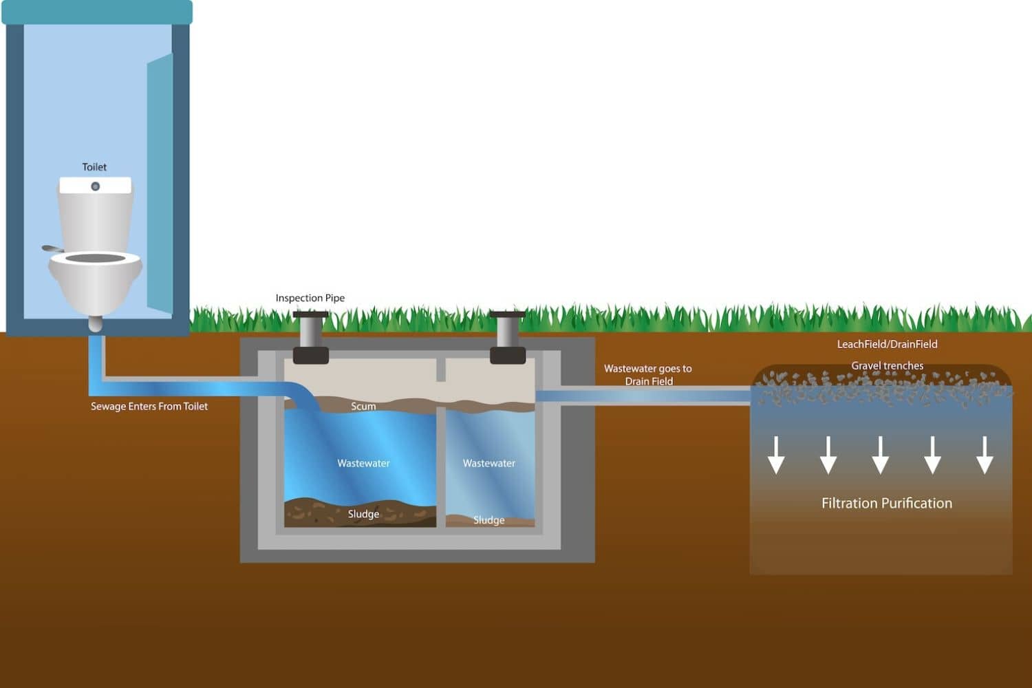 Is Drano Septic Safe? Alpha Building Inspections