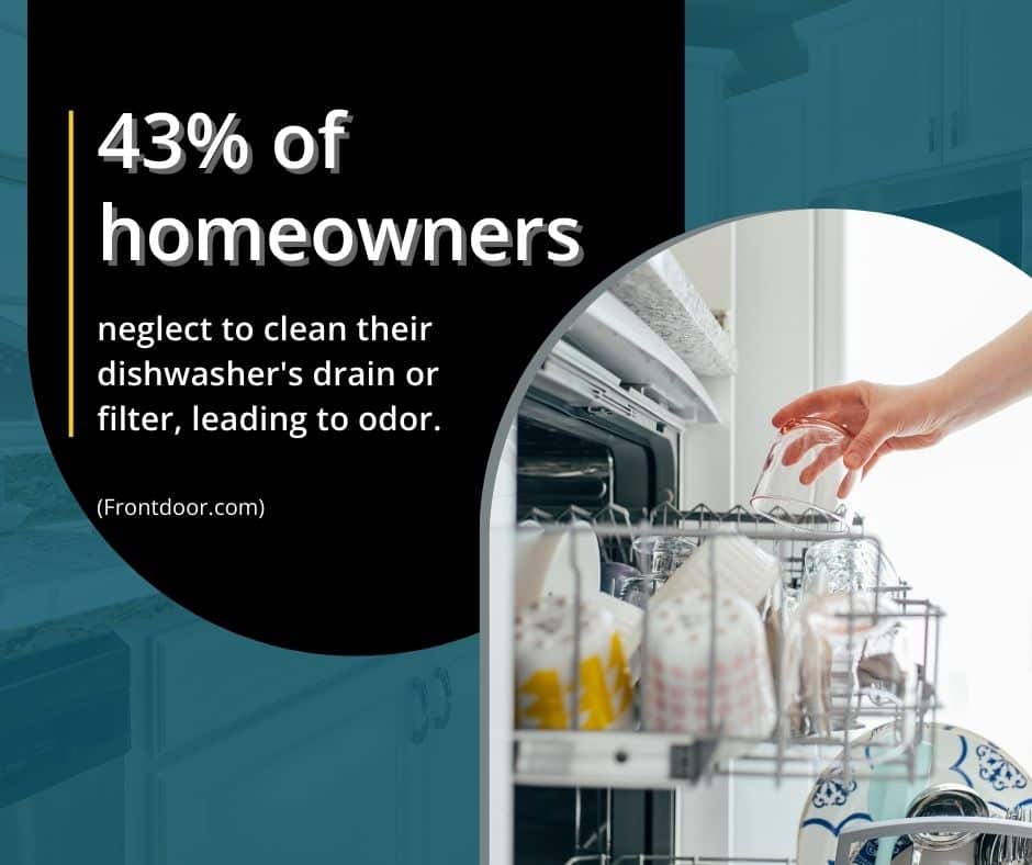 the dishwasher might smell due to neglected maintenance