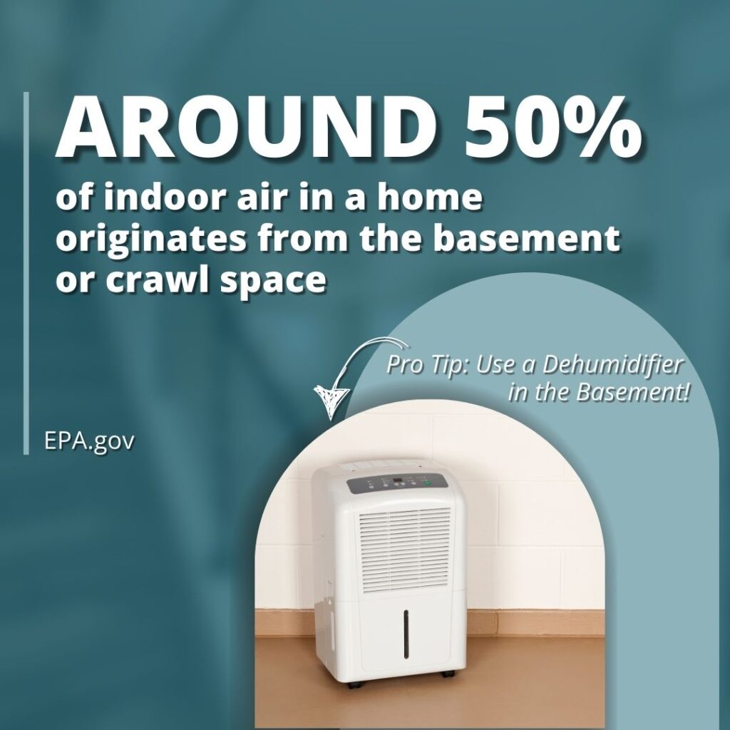 basement stat