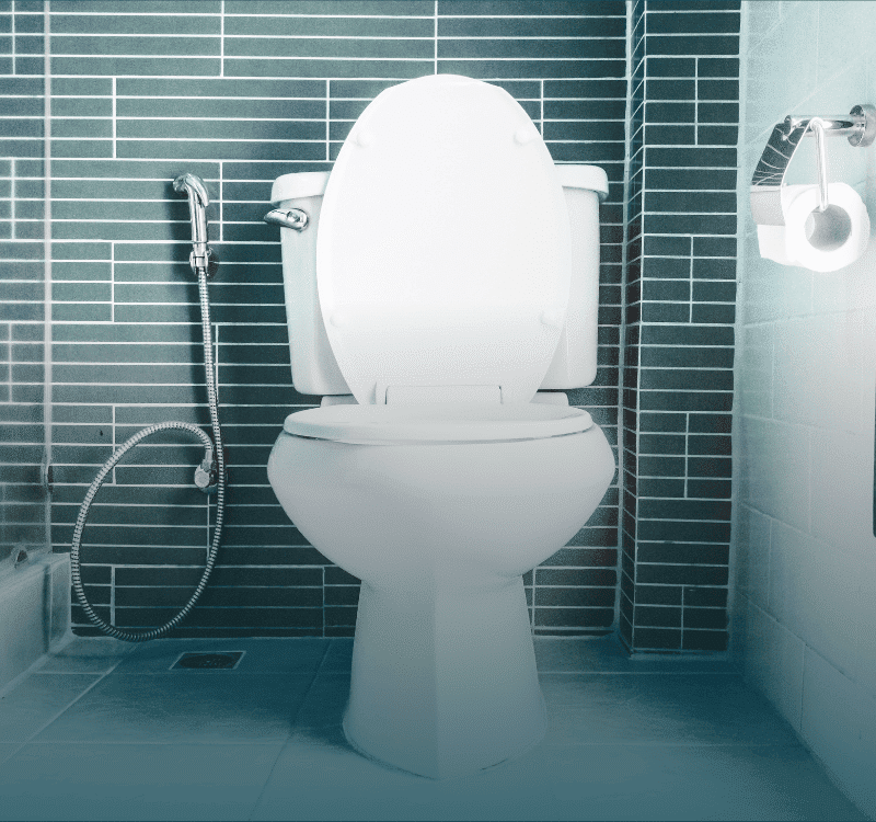 parts of a toilet