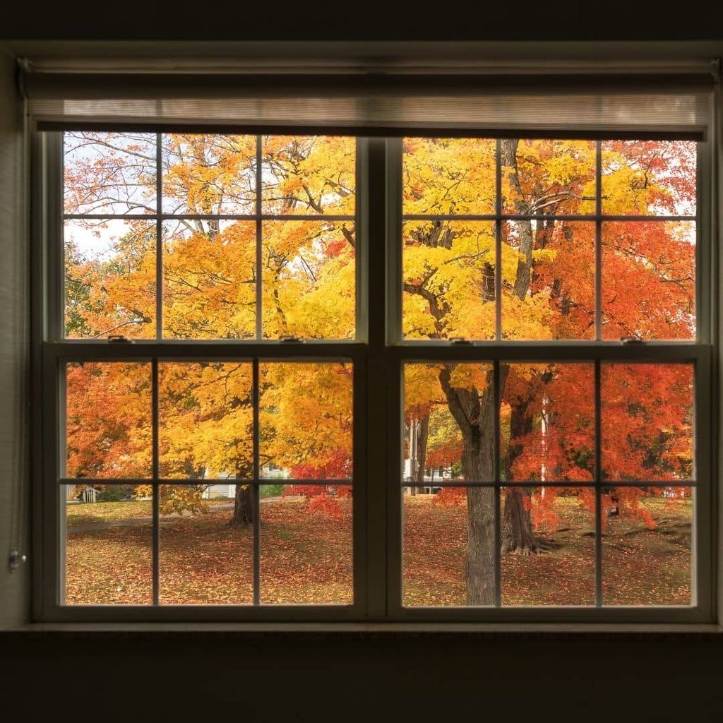 Colorful autumn trees seen through a home window, marking the season to prep for winter