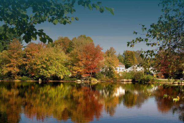 New England home exterior with autumn leaves and fall foliage before winter